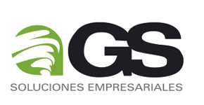 GS Soluciones